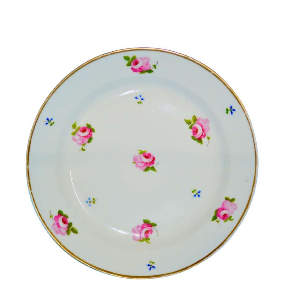 swansea porcelain plate possibly by billingsley early 19c